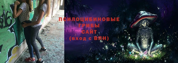 гашик Армянск