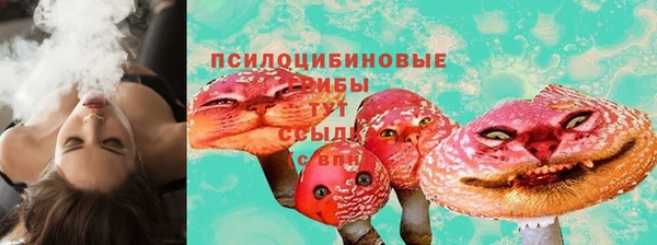 амф Аркадак