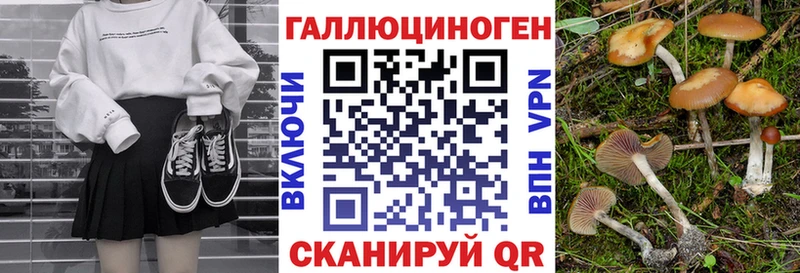 Купить закладки  Свирск  Галлюциногенные грибы Magic Shrooms 